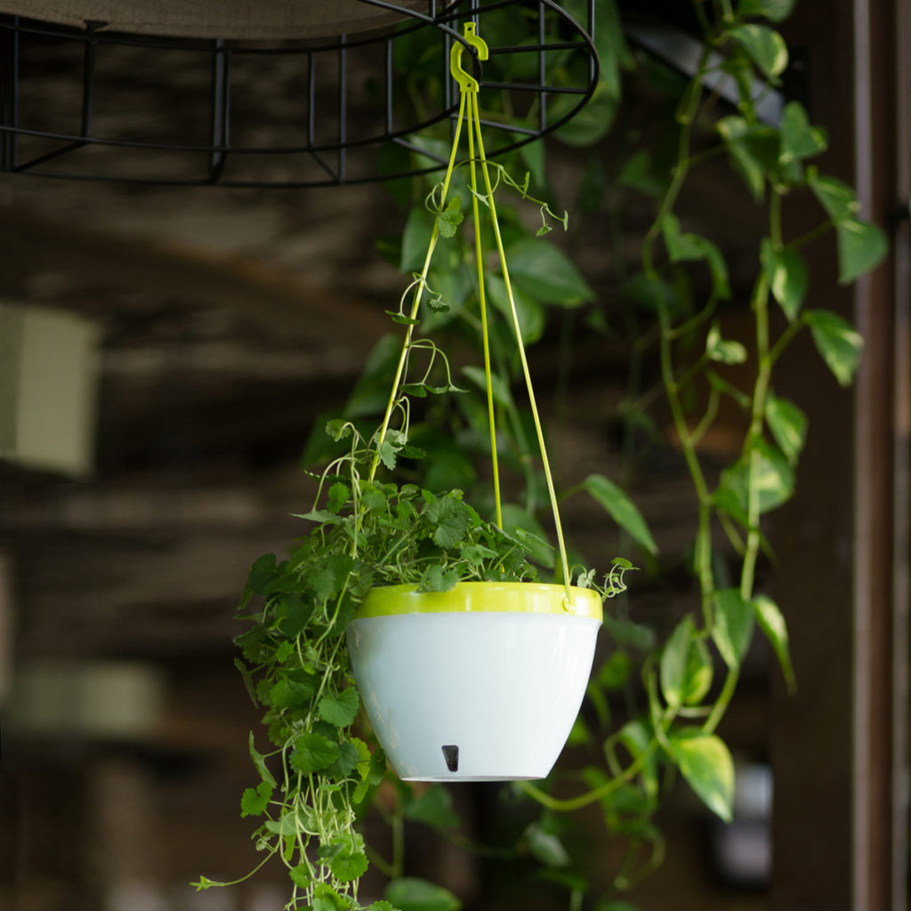 Fiskars Vista Hanging Basket