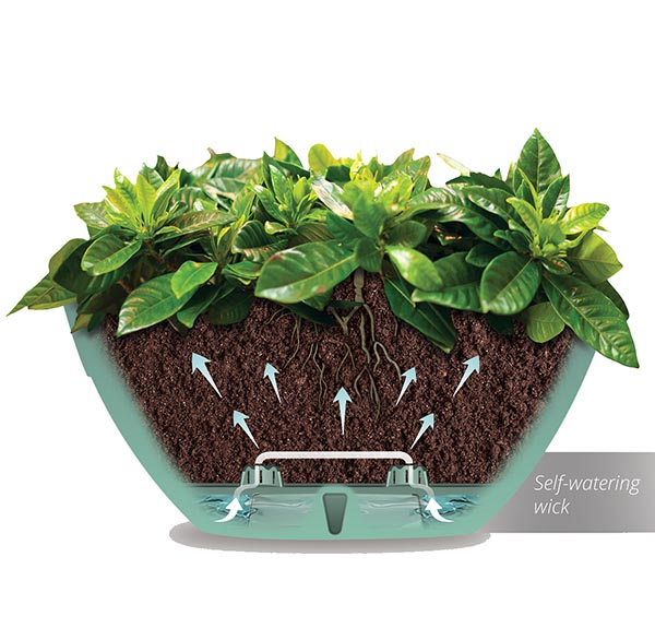 DecopotsUsa | Plant Watering Systems